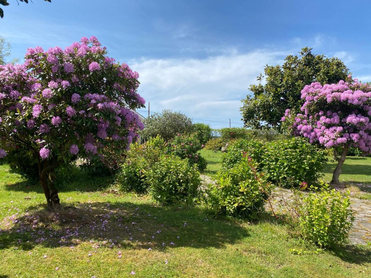 Casa Quintana Villa Salamir ภายนอก รูปภาพ
